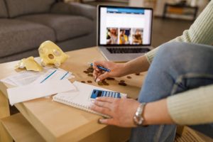 Printable budget planner for beginners